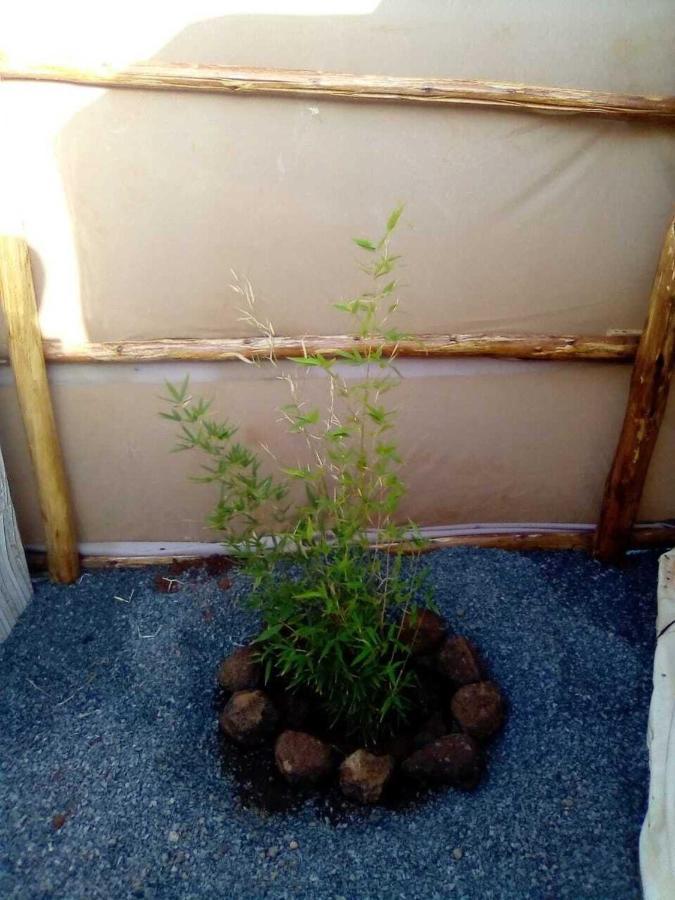 Amanya 1-Bed Leopard Tent アンボセリ エクステリア 写真